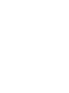 Bride Tribe